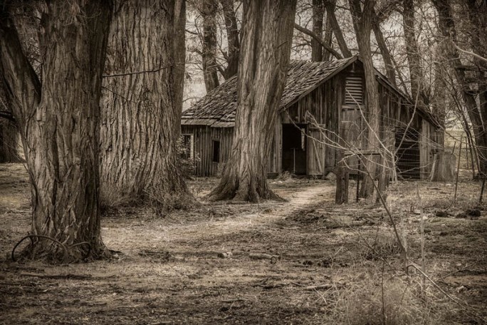 untitled-0596-edit-2-edit-l